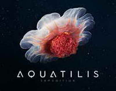 Migrant kutilmagan falokat tufayli urushdan qutulib qoldi