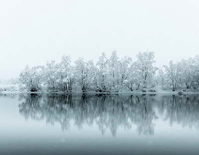 ТАБИАТ МЕКУНАД МОРО ТАБОБАТ! Кадбонуҳои тоҷик аз гиёҳҳои шифобахш хӯрокҳои гуногун омода месозанд