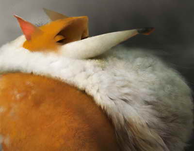 Life in the Regions: A Young Mother of Three from Nookat on Maternity Leave Decided to Raise 20 Bulls