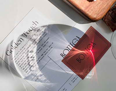 Sümük sağlamlığı üçün faydalı: Kalsiumla zəngin 10 ot və ədviyyat